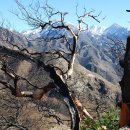 엔젤레스 이미지