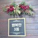 소나기성인용품 | 빌라 추천 ㅣ 단체 풀빌라 추천 ㅣ '태안 마이키즈풀빌라' ㅣ 마이 짱(3동) 70평 독채 풀빌라 다녀온 후기