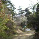 잦나무목장 이미지