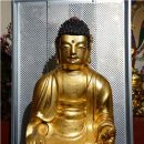 진안 인삼재배 문화 이미지