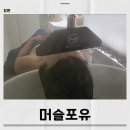스파포유 | 창원헤드스파 머슬포유 두피관리 전후 차이 후기