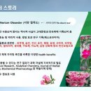 리브퓨어 이미지