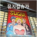 Sugar(슈가) | [한전아트센터] 유쾌발랄 뮤지컬 SUGAR 슈가 후기(양서윤, 김형묵, 이홍기 )