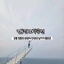 덕수리 조각공원 주차장 | 강릉 정동진 관광지 &#39;정동진 조각공원&#39; 썬크루즈 리조트 입장료 주차