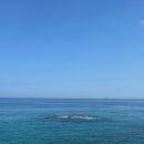 정동바다민박 이미지