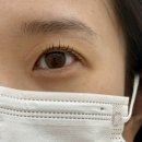 바이유니 | 동탄속눈썹펌 더데이라운지 바이유니룸 탱글 클리닉펌 속눈썹펌 후기