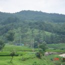 심청농장 이미지