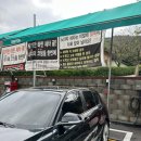 홍성세차장 이미지