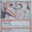 한국고양이혈액센터 이미지