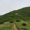 표충사 Daum카페