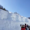 군산시-00007 | 청양 알프스마을 축제