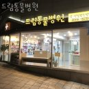드림동물병원 | 구로구 고척동 동물병원 드림동물병원 진료시간 접근성 이용후기