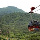 통영형제복국 이미지