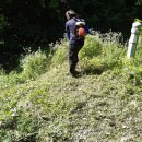 가야면 성기리 이미지