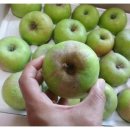 도연농원 이미지