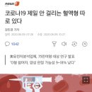 코로나19 제일 안 걸리는 혈액형 따로 있다 이미지