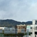 고경례김밥전문점 | 3일차 시미즈항 참치맛집, 말차맛집 나나야, 타르트맛집 키르훼봉, 와사비전문점 타마루야본점 방문 후기