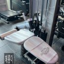 미&컬(curl) | 천안헬스장 추천, '지방부수리'에서 역대급 하체 운동 루틴 (GYM80, 프라임, 메가메스, 아스날)