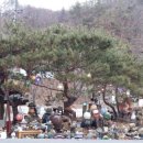 드리밍하우스 이미지