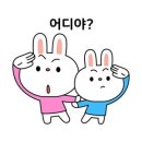 오늘, 돼지