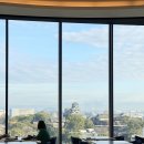 무안 버스터미널 | 구마모토여행 2일차 | 사쿠라마치 버스터미널에서 아소산분화구 가는법, 아소역에서 구마모토시내 가는법