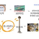 국제게임랜드 이미지