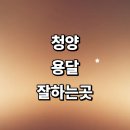 개인화물1455 | 청양군 근처 화물용달 추천 전문업체 잘하는곳 용달이사 퀵서비스 견적 침대 라보용달 소형 렌트 후기 가격
