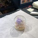 라페플라워(Lafee Flower) | 일산 꽃집 / 프리져브드 무드등 구매, Lafee Flower 후기