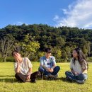 한마음장애인공동생활가정 | [아름다운 희망나누기] 광양매화원 – 발달장애인과 지역사회가 함께 만드는 ‘더불어 삶’ 🌱