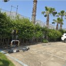 솔라티펜션 이미지