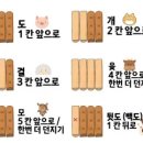 윷놀이