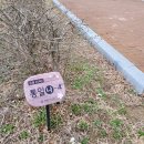 독립기념관캠핑장 이미지