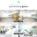 호계나무치과의원 네이버블로그