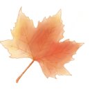 양도초병설유치원 이미지