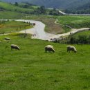 대관령전망대 이미지