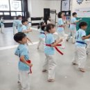 용인대 Best최강 태권도장 네이버블로그