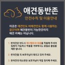 커피나는바다