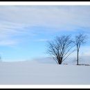 York Cemetary in snow 이미지