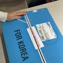 블리스컴퍼니 HBC 망고 코스트코 망고 맛 비교 솔직 후기