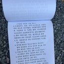지지농장 | 계곡 접근성 역대급 캠핑장 : 강원도 영월 &#34;상우농장 캠핑장&#34; 1박2일 후기