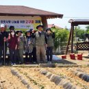 고맙구마