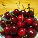 월은농장 이미지