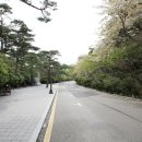 부산시민헌장 이미지