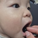 정원2농장 | 청주 오창 카페 유기농 유송블루베리 농장 및 카페 이용 후기🫐
