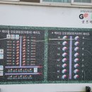 백마강오토캠핑장 이미지