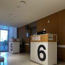 수정 | EP.15 과배란 인공수정 이식 폴리트롭 후기