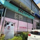 츄냥이 하우스 이미지