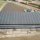 일신태양광발전소 이미지