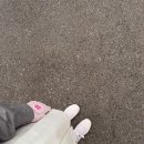 (사)부산컨트리클럽 | [부산 금정] 부산cc, 부산컨트리클럽 라운딩 후기