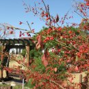 솔바람펜션 이미지